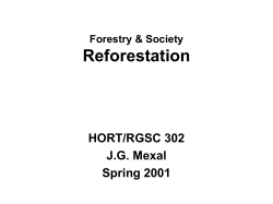 Reforestation The Situation - College of Agricultural, Consumer and