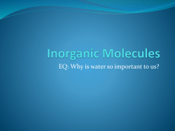 Inorganic Molecules
