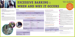 Excessive barking
