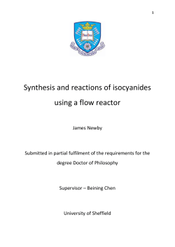 Synthesis of cyclic amides - White Rose eTheses Online