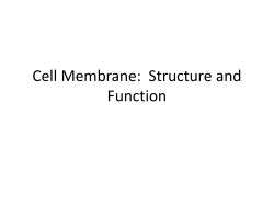 bilayer - Westgate Mennonite Collegiate