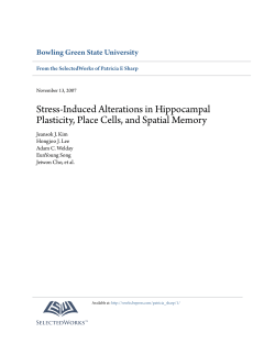 Stress-Induced Alterations in Hippocampal Plasticity, Place Cells