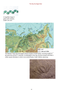 The Day the Algae Died A magnified image of green