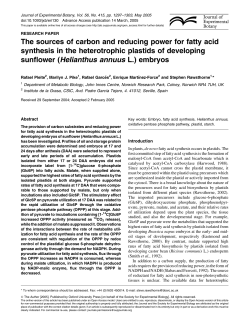 The sources of carbon and reducing power for fatty acid synthesis in