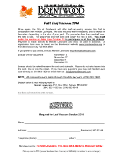 Fall Leaf Vacuum Program