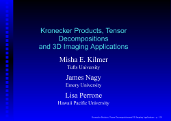 Misha E. Kilmer James Nagy Lisa Perrone