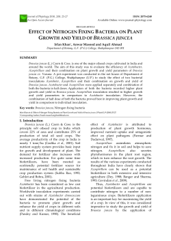 effect of nitrogen fixing bacteria on plant growth and