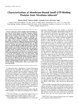 Characterization of Membrane-Bound Small CTP