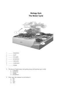 Biology Quiz The Water Cycle