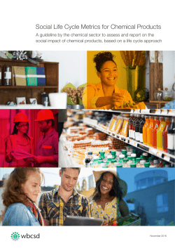 Social Life Cycle Metrics for Chemical Products