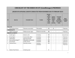 Campus Birds - List