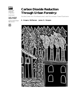Carbon Dioxide Reduction Through Urban Forestry