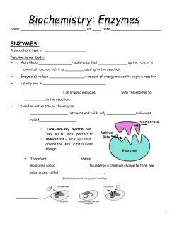 Notes Enzymes student File