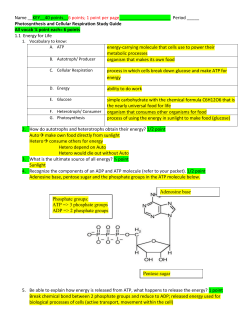 Chapter 8: Photosynthesis Study Guide
