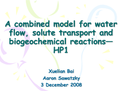A combined model for water flow, solute transport and
