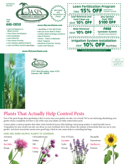 Plants That Actually Help Control Pests SAVE 10% OFF