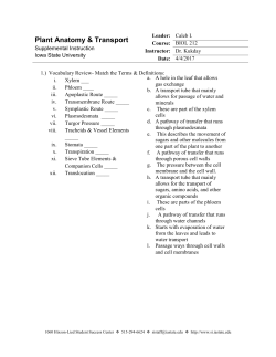 BIO 212 SI Kukday-- Plant Transport 4/4