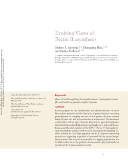 Evolving Views of Pectin Biosynthesis