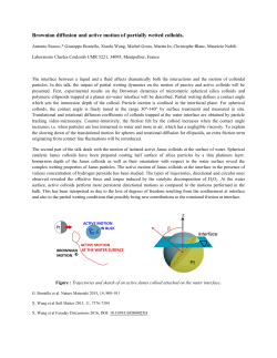 Brownian diffusion and active motion of partially wetted