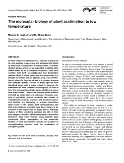 The molecular biology of plant acclimation to low