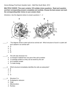 Honors Biology Final Exam bank - 2013