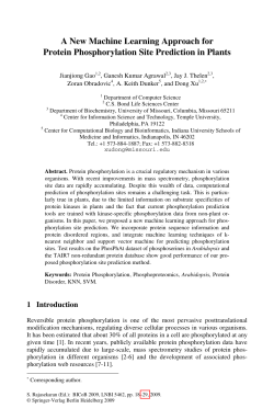 A New Machine Learning Approach for Protein Phosphorylation Site
