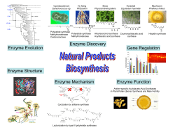 Our current research interests