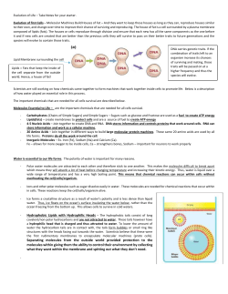 Evolution of Life - Molecular