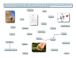 Concept Map - MIT Biology