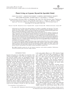 Plants Living on Gypsum: Beyond the Specialist