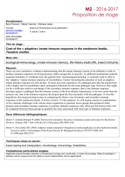 M2 - 2016-2017 Proposition de stage