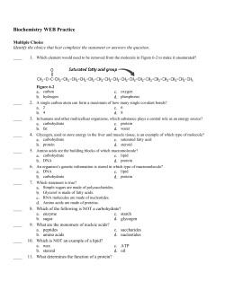 Biochemistry WEB Practice Answer Section