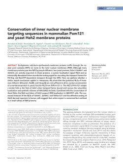 Conservation of inner nuclear membrane targeting