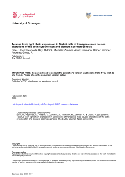 University of Groningen Tetanus toxin light chain expression in