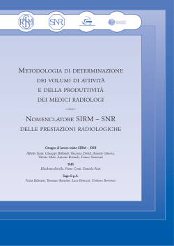 metodologia di determinazione dei volumi di attivit&agrave; e della