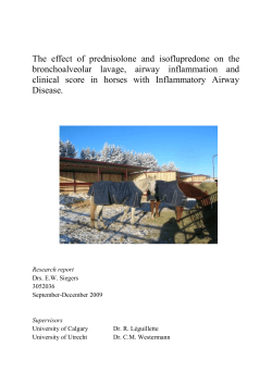 The effect of prednisolone and isoflupredone on horses with