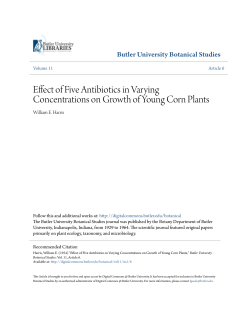 Effect of Five Antibiotics in Varying Concentrations on Growth of