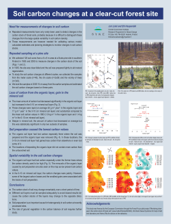 Measuring soil carbon changes at forest sites