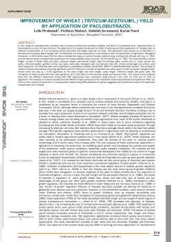 improvement of wheat (triticum aestivum l.) yield