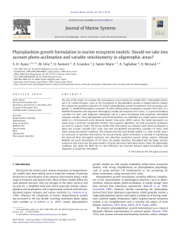 Phytoplankton growth formulation in marine ecosystem models