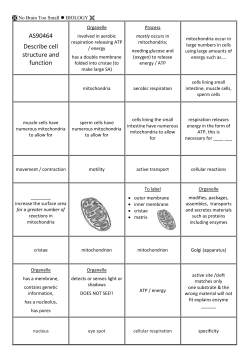 &Igrave; No Brain Too Small l BIOLOGY &Euml; AS90464 Describe cell structure