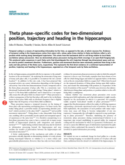 Theta phase&ndash;specific codes for two-dimensional position, trajectory