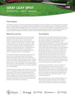 GRAY LEAF SPOT - Backed by Bayer