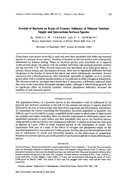 Growth of Bacteria on Roots of Grasses