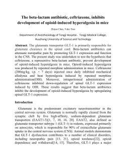 The beta-lactam antibiotic, ceftriaxone, inhibits development of