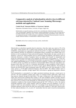 Comparative analysis of mitochondria selective dyes in different cell