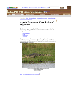 Aquatic Ecosystems: Classification of Organisms