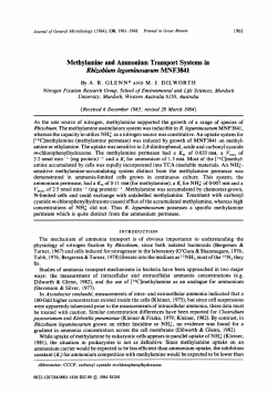 Methylamine and Ammonium Transport Systems in