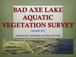 BAD AXE LAKE PLANT SURVEY