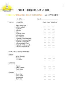 Yellow / Orange Belt Grading Sheet